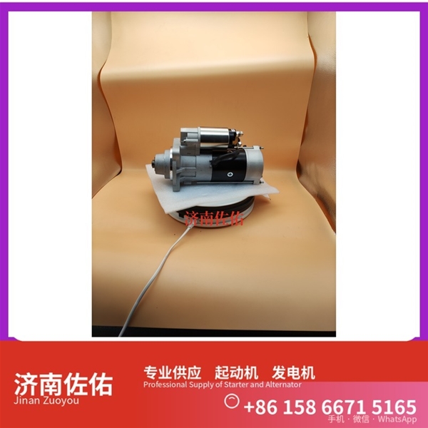 湖南E049361000002起动机08821095 发电机 Sany SR150 WP12