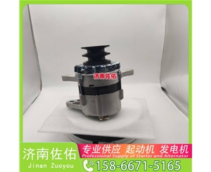 湖南4280005645起动机20409228发电机 斗山 DB/DL WP4.6 锡柴 CA4DF 斗山｜DX215｜DB58 卡特 336D2 C13 玉柴 YCK05 潍柴 WP2.3 启动机