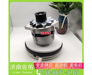 湖南610800090020起动机0350005011 潍柴 发电机 Doosan Forklift GC25P G642